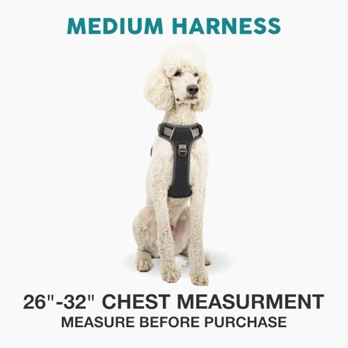 Embark Adventure Dog Harness, Reflective Trim No Pull Dog Harness Medium Sized - Military Grade Nylon, Front Clip with Gel Lined Handle. Soft & Padded Puppy Harnesses for Any Breed - color: Black, size: M