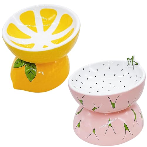 Hamiledyi Ceramic Raised Cat Bowl Anti Vomiting Elevated Tilted Cat Food & Water Bowls 2PCS Pet Feeder Dish for Indoor Kitty and Small Dogs(Lemons & Pitaya)