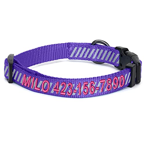 Pawtitas Reflective Dog Collar - Personalized Name & Phone Number, Adjustable for Small Dogs & Puppies - Purple - color: Customized Purple, size: X-Small (Pack of 1)