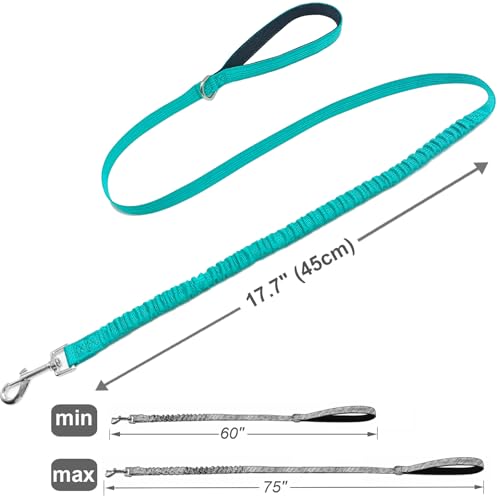 Bungee Dog Leash- 5FT Shock Absorbing & Reflective Nylon Leash | Anti-Pull Training for Small/Medium Dogs | 2cm Wide, 6 Colors (Turquoise) - color: Turquoise