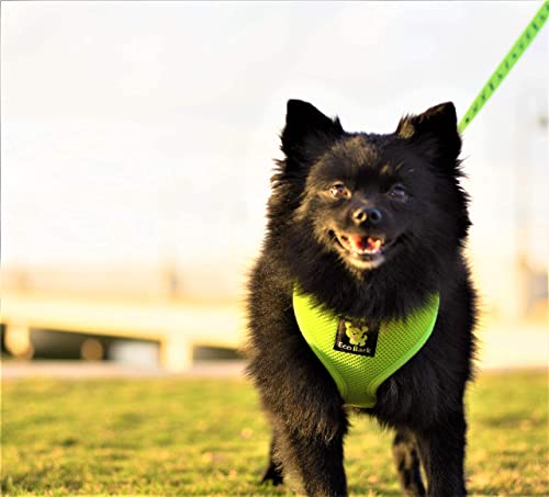 EcoBark Dog Harness - Eco-Friendly Max Comfort Harnesses - Luxurious Soft Mesh Halter - Over the Head Harness Vest- No Pull and No Choke for Puppy, Toy Breeds & Small Dogs (Medium, Green) - color: Green