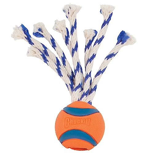Chuckit! Ultra Toss Dog Toy, Small Indoor and Outdoor Dog Toy for Dogs 0-20 Pounds - size: Small, style: Ultra Toss