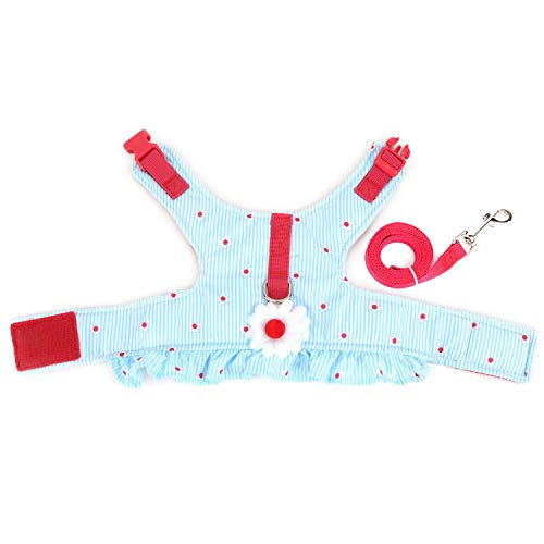 Zunea No Pull Small Dog Girl Harness Dress Escape Proof Cat Kitten Vest Harness Leash Set Step-in Soft Cotton Padded Striped and Flowers Printed Jacket Chihuahua Puppy Clothes for Walking Blue XS - color: blue daisy, size: XS (Chest:12.2-13.7", Neck:8.2-9
