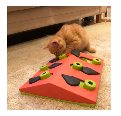 Interactive Dog and Cat Games Treat Hiding Challenge Mental Stimulation with Rewards (10 Inch Melon Madness Cat Game) - size: 10 Inch Melon Madness Cat Game