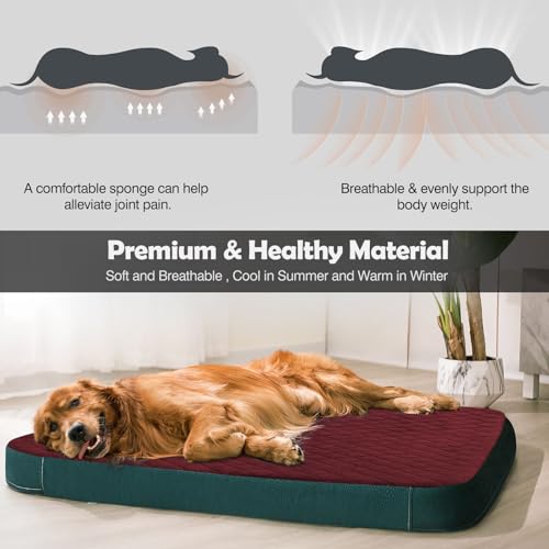 Large Dog Bed, Orthopedic Foam Big Dog Bed Mattress, 40 Inches Joint Relief Pet Sleeping Beds, Non Slip Bottom with Removable Washable Cover, Wine Red - color: Wine Red, size: 40.0"L x 35.0"W x 3.5"Th