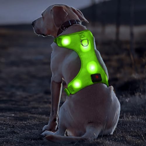 LED Dog Harness - Safety Light Up Dog Vest, No-Pull Dog Harness, Rechargeable Glowing Pet Harness for Dogs Nighttime Walking (Green, Medium) - color: Green, size: Medium