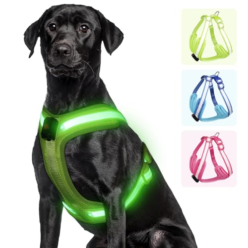 Light Up Dog Harness - LED Dog Harness Rechargeable, No Choke Illuminated Glow Dark Harness Vest Waterproof for Medium Large Dogs for Camping Night Safety Walking-Green,L - color: Green, size: Large