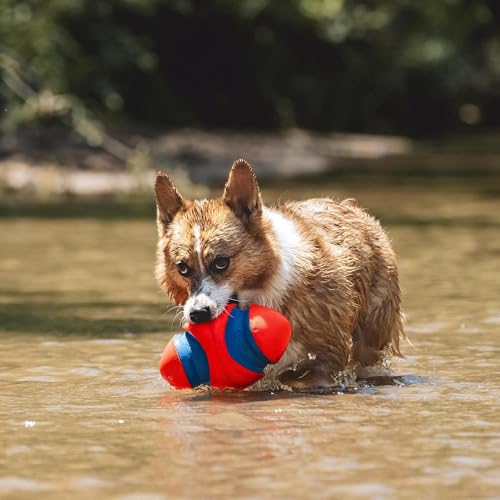 Chuckit! Fumble Fetch Dog Football - Outdoor and Indoor Interactive Dog Toy with Grooved Design for Easy Pickup - Made from Durable Rubber - Floats in Water - Small - Orange and Blue - size: Small, style: Orange/Blue