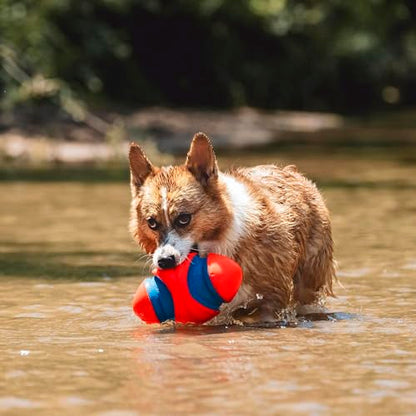 Chuckit! Fumble Fetch Dog Football - Outdoor and Indoor Interactive Dog Toy with Grooved Design for Easy Pickup - Made from Durable Rubber - Floats in Water - Small - Orange and Blue - size: Small, style: Orange/Blue