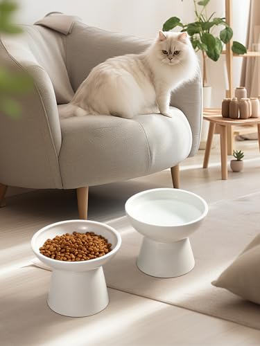 LoeJan Elevated Cat Food and Water Bowls Set, Extra Wide and Raised Ceramic Feeder, Anti-Vomit Whisker-Free Pressure Feeding Bowl for Kittens Adult Small Dogs - color: White, size: 2 Pack (Food & Water Bowls)