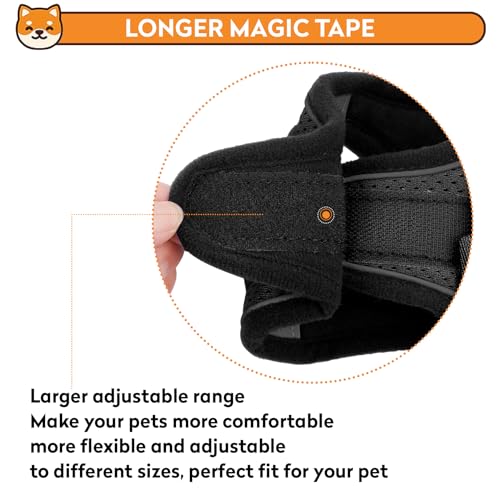 Dog Harness with Leash Set, No-Pull Step-in Reflective Pet Harness with 1 Leash Clips, Adjustable Soft Padded Easy Walk Dog Vest for Small Medium Large Dogs, Cats(Carbon Black, XXSmall) - color: Black, size: XXS(Chest:11.5"-13"*Fit Cat)