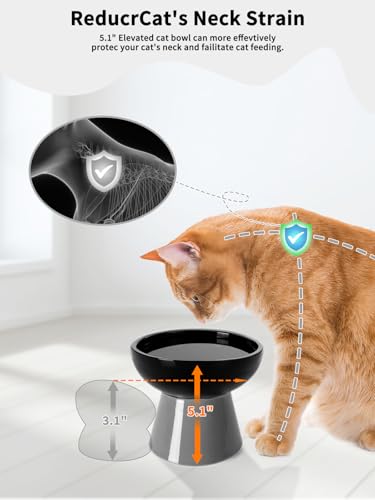 LoeJan Elevated Cat Food and Water Bowls Set, Extra Wide and Raised Ceramic Feeder, Anti-Vomit Whisker-Free Pressure Feeding Bowl for Kittens Adult Small Dogs(Black, 2 Pack) - color: Black, size: 2 Pack (Food & Water Bowls)