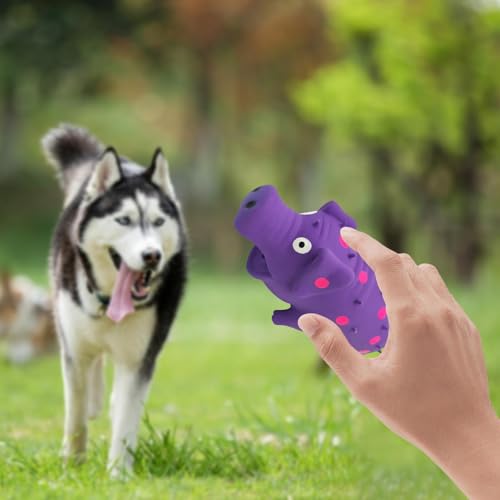 Gralara Squeaky Dog Toy Dog Chews Toy Accessory Entertainment Training for Aggressive Chewers Interactive for Small Large Breed Dogs, Purple - color: Purple