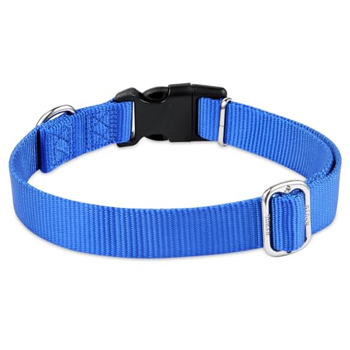Medium Dog Collar, Blue:Heavy-Duty Quick-Release Nylon Buckle, Adjustable & Durable, Cute Dog Collar (Medium, Bright Blue) - color: Bright Blue, size: Medium