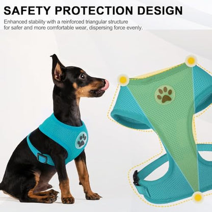 BINGPET Small Dog Harness, No Pull Dog Harness Small Sized Dogs, Soft Light Breathable Mesh Puppy Vest with Safety Buckle-Adjustable Step in Pet Harnesses for Easy Walking, Running, Training - color: Aqua, size: XS (NECK: 10", CHEST: 10"-14")