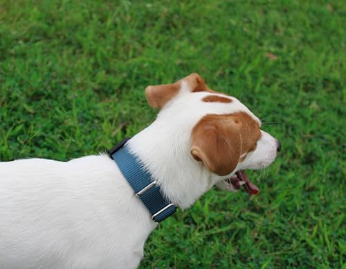 Mikivery Nylon Dog Collar with Quick Release Buckle Soft Adjustable Sturdy for Small Medium Large Dogs Haze Blue,L - color: Haze, size: L：17.5"-25.5"