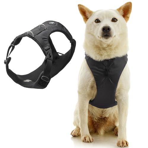 Gooby Trailblazer Harness - Black, X-Small - Shock Absorbing Dog Harness with No Pull Front and Dual Back Clips for Small Dog and Medium Dog - color: Black, size: X-Small (11.75-14.25")