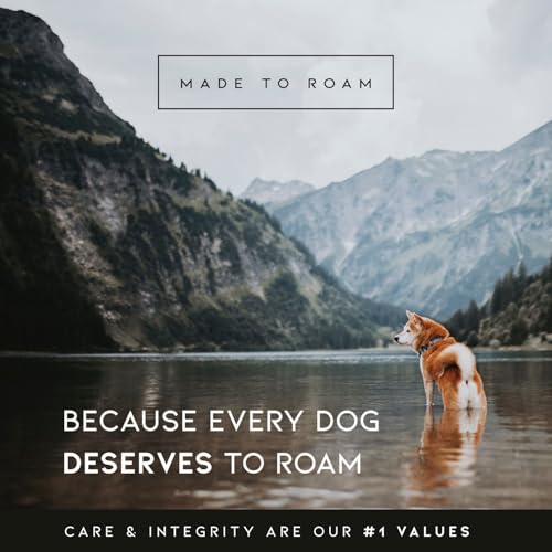 Made to ROAM Premium Explorer Control Collar - Adjustable Heavy Duty Nylon Dog Collar with Quick-Release Metal Buckle and Leather Handle (Alaska Daybreak, Size 2, Control) - color: Alaska Daybreak, size: Control 2 (w/ handle)