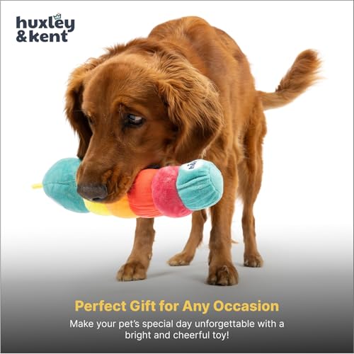 Huxley & Kent Funny Dog Toy w/Squeaker – Power Plush Squeaky Dog Toys for Small, Medium & Large Dogs – Soft Stuffed Animal for Indoor Play & Fetch - Fetchies® Caterpillar, Small - size: Small, style: Fetchies Caterpillar