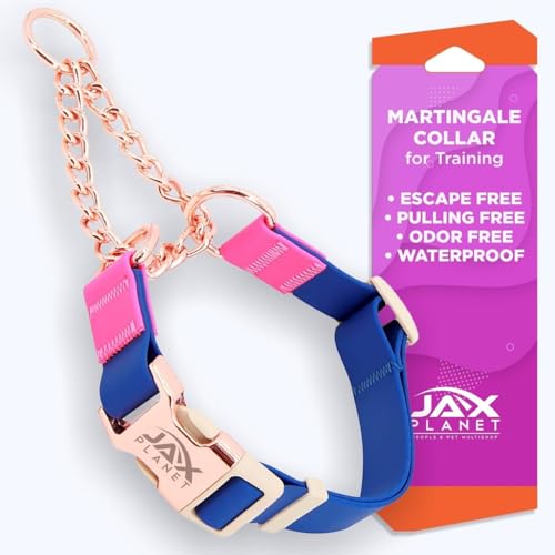 Jelly Waterproof Martingale Dog Collar, No Pull Nylon Collar with Alloy Metal Buckle & D-Ring for Outdoor Training and Walking, Anti Pull, Escape Free, One Time Adjustment - Blue & Rose, XL - color: Collar:Blue-Rose, size: Collar:(XL)Neck:22"~28"