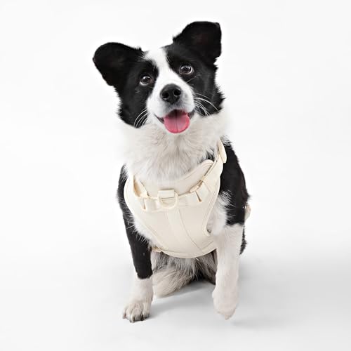 HNS1003L Arlo Large Adjustable Soft Padded No Pull Pet Harness with 3 Buckles and 3 Leash Clips, Bailey - color: Almond, size: Large (Chest: 24 - 37")