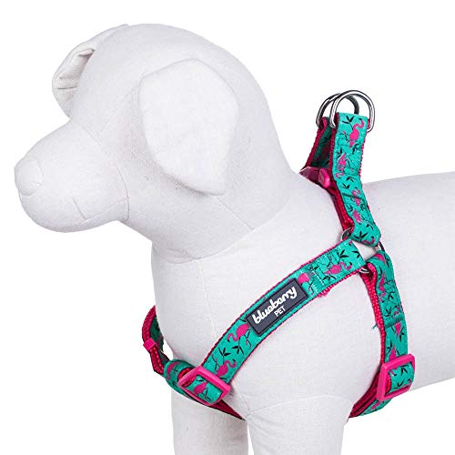 Blueberry Pet Essentials 2 Patterns Step-in Pink Flamingo on Light Emerald Dog Harness, Chest Girth 26" - 39", Large, Adjustable Harnesses for Dogs