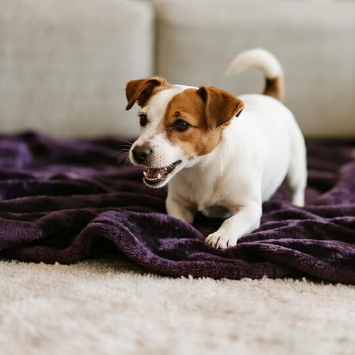 gogobunny Waterproof Bed Blanket, Reversible Sherpa Fleece Throw Blanket for Dog Puppy Cat, Furniture Cover Protects Bed Couch Sofa from Liquid Pee and Pet Fur (Dark Purple, 50x60 inches) - color: Dark Purple, size: 50x60 inches