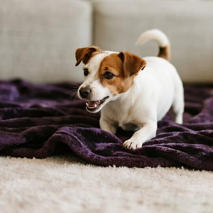 gogobunny Waterproof Bed Blanket, Reversible Sherpa Fleece Throw Blanket for Dog Puppy Cat, Furniture Cover Protects Bed Couch Sofa from Liquid Pee and Pet Fur (Dark Purple, 50x60 inches) - color: Dark Purple, size: 50x60 inches