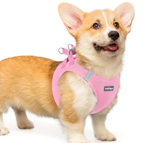 rabbitgoo Small Dog Harness, Step-in Soft Mesh Puppy Vest with Safety Buckle, Breathable Reflective Pet Harness for Small Medium Dogs, Light Pink L - color: Light Pink, size: L(chest:18.2"-20.5")