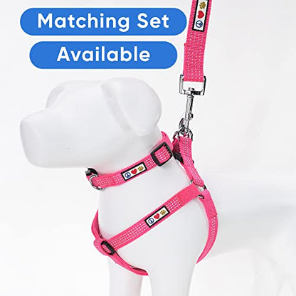 Pawtitas Reflective Dog Collar for X-Small Dogs – Adjustable Nylon Puppy Collar with Quick-Release Buckle | Fits Neck 8–13 in | Night Safety Training Collar | XS | Pink - color: Pink, size: X-Small (Pack of 1)