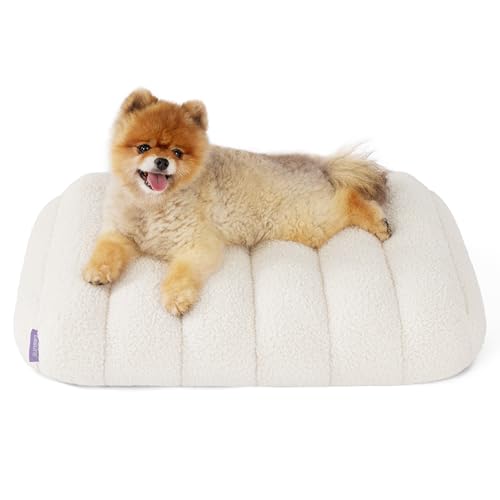 LE SURE Cute Orthopedic Dog Bed for Small Dogs, Waterproof Chic Flat Pet Beds with Removable Washable Cover, Fuzzy Thick Egg Crate Foam Pet Mat for Indoor Use (24" x 18", Cream) - color: Cream, size: 24"L x 18"W x 3"Th