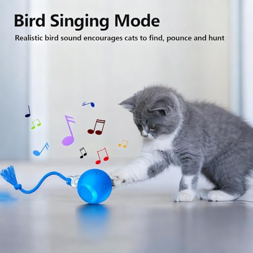 FUNNYDUCK Speed 2.0 Tail Interactive Cat Toys for Indoor Cats – Smart Motion-Activated Rolling Ball with Tail, Chirping Sounds, and USB Rechargeable Design for Enrichment & Exercise - color: Blue tail