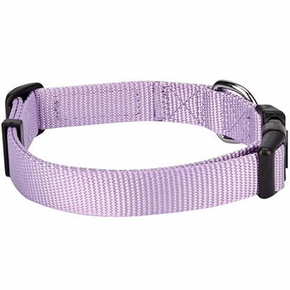 Blueberry Pet Essentials Matching Harness, Collar & Leash Set in Lavender, Adjustable Nylon for Medium & Large Breeds - color: Lavender - Collar + Leash + Harness, size: Large