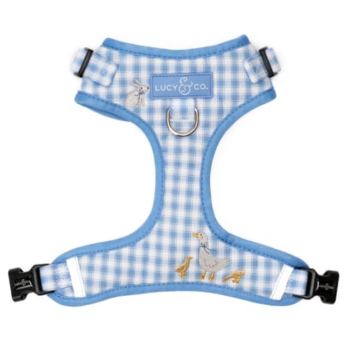 Lucy & Co. Silly Goose No-Pull Dog Harness, Adjustable Front Clip Harness with Comfort Padding, Small - color: Silly Goose, size: Small