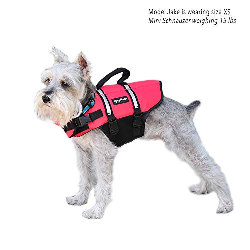 ZippyPaws Adventure Dog Life Jacket - Dog Life Vest for Swimming & Boating, Fits Small Pets, Lightweight Dog Flotation Device for Water Safety, Padded Handle, Adjustable Fit, 28-32" - Large, Red - size: Large