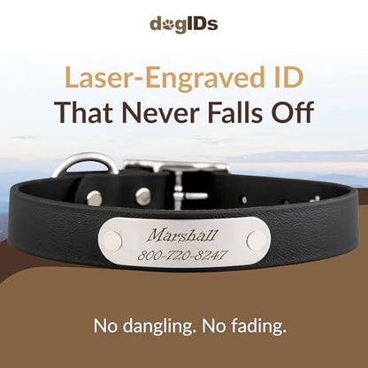dogIDs Personalized Dog Collar – Custom Waterproof Soft-Grip Biothane with Laser-Engraved Nameplate, Durable & Odor-Resistant, USA Made | Black, 1 in x 16 in (Fits Necks Size 14-18 in) - color: Black, size: 1 in x 16 in (Fits Necks Size 14-18 in)