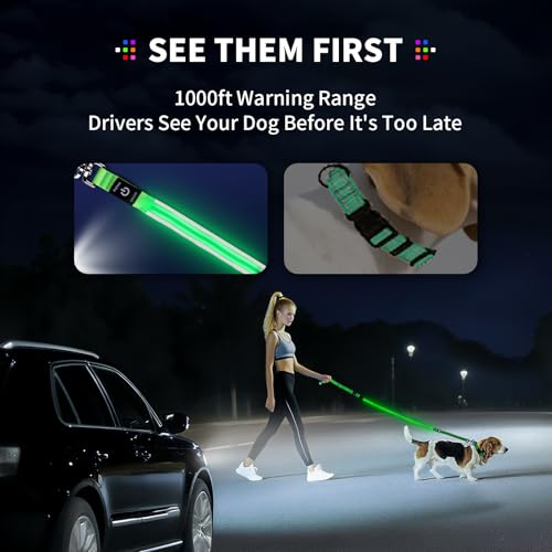 Night Walking LED Dog Leash - 6FT Reflective & Waterproof Light Up Safety Leashes for Dogs - USB Rechargeable, White - color: White(Fiber optic version)