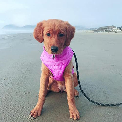 Gooby Puffer Vest Dog Jacket - Purple, Small - Ultra Thin Wind Breaker with Dual D Ring Leash - Water Resistant Small Dog Sweater Coat - color: Purple, size: Small chest (15")
