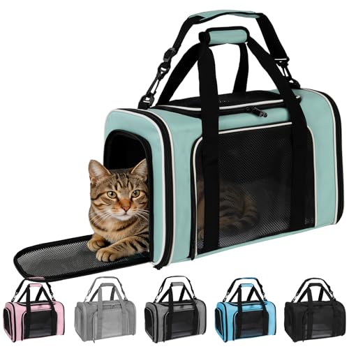 Cat Dog Carriers Soft-Sided, Pet Travel Carrier for Small Cats Dogs Under to15lbs, Soft-Solid Collapsible Carrier,(Medium,Green) - color: green, size: 17.0"L x 11.0"W x 11.0"H
