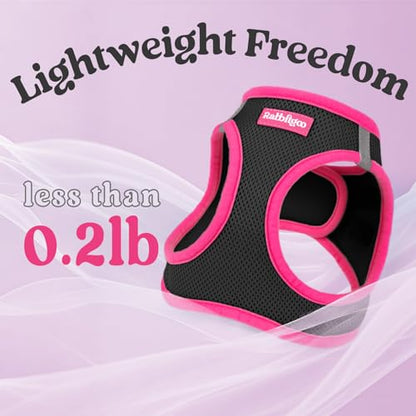 rabbitgoo Dog Harness Small Sized and Leash Set, Step-in Breathable Pet Harness, Soft Walking Reflective Puppy Vest for Small Dogs, Black & Rose Red, XS - color: Black & Rose Red, size: XS (Chest: 13.3 - 15.5")