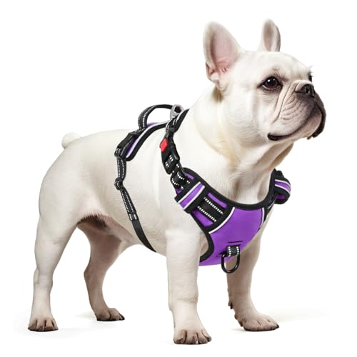 Dog Harness Small Sized, No Pull with Neck Lockable Snap,No Choke Front Clip Dog Reflective Harness,Adjustable Metal Rings 3 Buckles,Easy Control Handle for Small Dogs Purple S - color: Lock Purple, size: Small (Pack of 1)