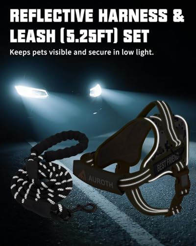 AUROTH Dog Harness and Leash Set, Soft Padded Service Dog Vest with 5.25FT Dog Leash, No Choke, Easy On Pet Vest, Adjustable Reflective No Pull Dog Harness for Large Dogs, Easy Walking and Training - color: Desert Camo, size: Large