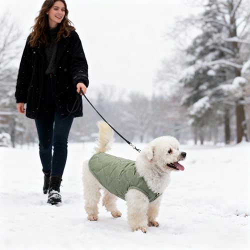 Dog Coat - Windproof Thermal Pet Jacket, Cold Weather Protection Apparel, Adjustable Reflective Design | Small Medium Large Breeds Clothing, Cats Puppies Kittens Wear for Winter Rain Snow - color: Green L