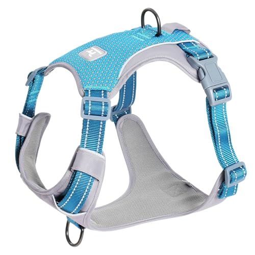 Huntboo No-Pull Dog Harness, Fully Reflective Vest with 2 Leash Clips, No-Choke, Adjustable, Breathable & Durable for Small, Medium & Large Dogs Walking, Training, Running (Teal Blue, L) - color: Teal Blue, size: Large (Pack of 1)