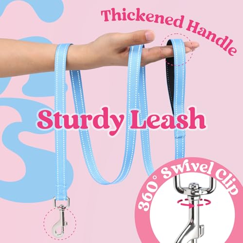 rabbitgoo Dog Harness Small Sized and Leash Set, Step-in Breathable Pet Harness, Soft Walking Reflective Puppy Vest for Small Dogs, Pink & Light Blue, XS - color: Pink & Light Blue, size: XS (Chest: 13.3 - 15.5")