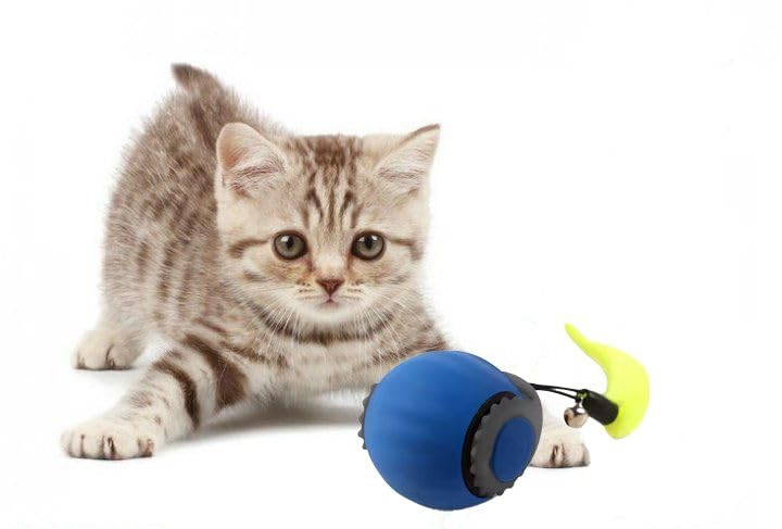 Interactive Cat Toy Ball - Automatic Rolling Rechargeable Cat Toy, Chasing Ball for Indoor Cats & Kittens, Feather Tail, Self-Moving Toy, Fast & Slow Speed (Blue)