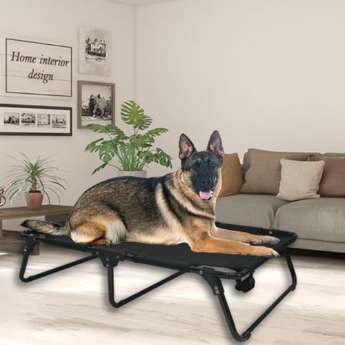 Elevated Raised Small Meduim Dog Bed Cots,Cooling Foldable No Assembly Need Pet Hammock Bed with Breathable Mesh, Indoor Outdoor Dog Pet Bed for Small Meduim Dogs, Chew Proof, Black - size: Small