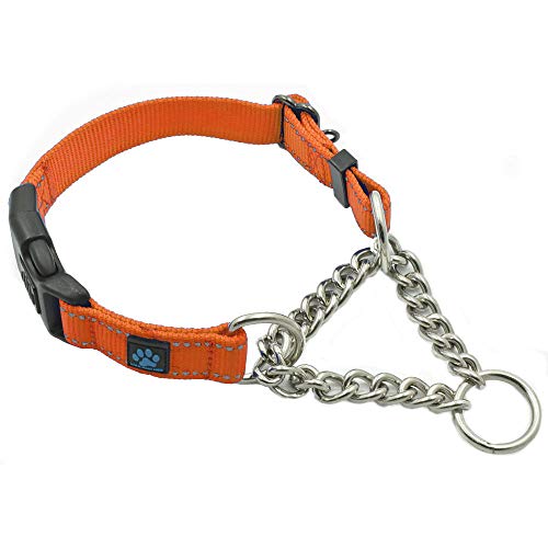 Max and Neo Stainless Steel Chain Martingale Collar - We Donate to a Dog Rescue for Every Collar Sold (Medium, Orange) - color: ORANGE, size: Medium