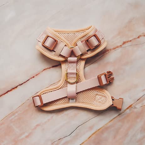 Premium No-Pull Dog Harness Soft Neoprene & Breathable Mesh Vest with Front & Back Clip D-Rings Adjustable Lightweight Walking Harness for Puppies, Small & Medium Dogs (Rose Beige, XS) - color: Rose Beige, size: XS: Neck 10.6-14.2'', Chest 14.2-18.9''