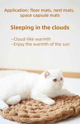 Hand-Woven Cat Mattress Nest Space Capsule Stepping Milk Round Cushion Pet Warm Pad Sleeping Four Seasons Indoor Pet Cat Climbing Frame Mat Enlarged Thickened (White, 50CM) - color: White, size: 50CM